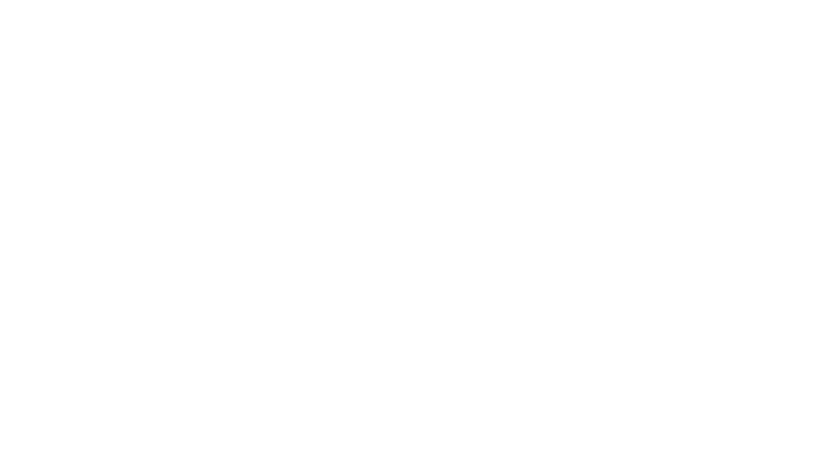 MaxBat | Shop Official MaxBat Wood Bats in Europe – Bat King – Bat King ...